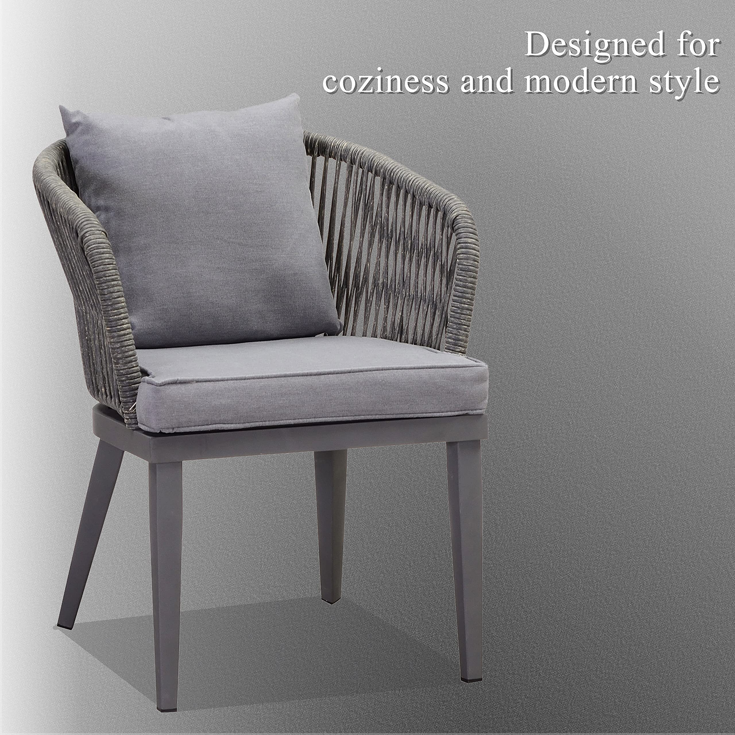 OPEN BOX I PURPLE LEAF 2 Pieces Patio Furniture Outdoor Dining Chairs All-Weather Wicker for Lawn Garden Backyard Deck Patio Dining Chairs with Cushions and Pillows, Grey