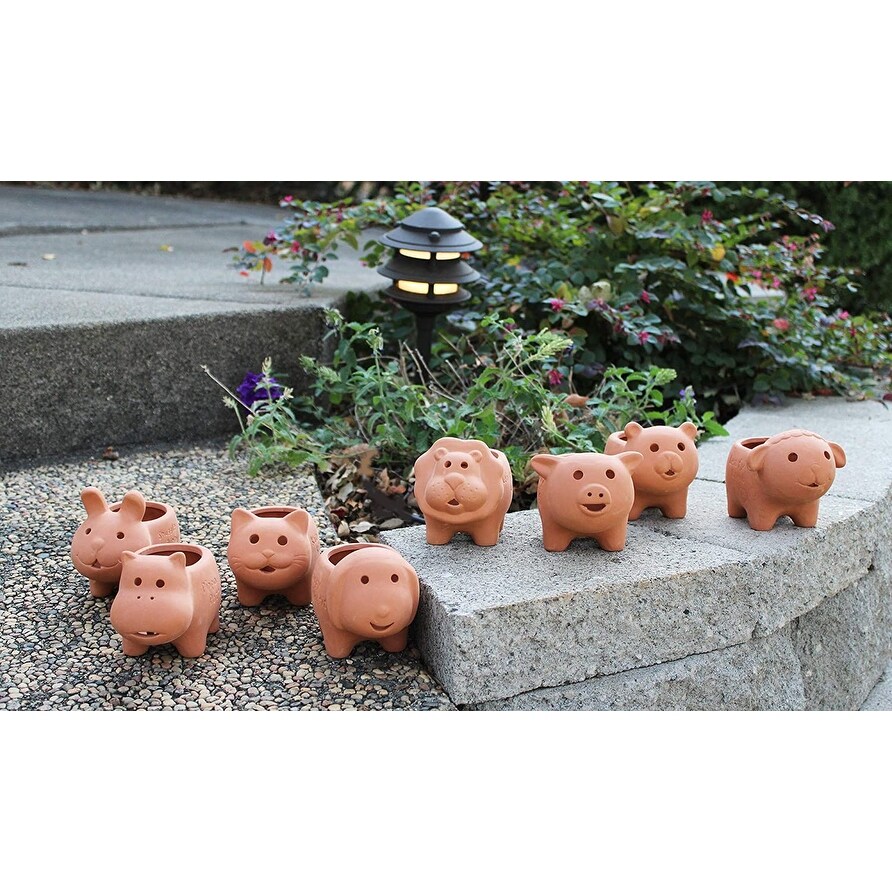 Set of 8 Adorable Terracotta Mini Animal Shaped pots   3.5\