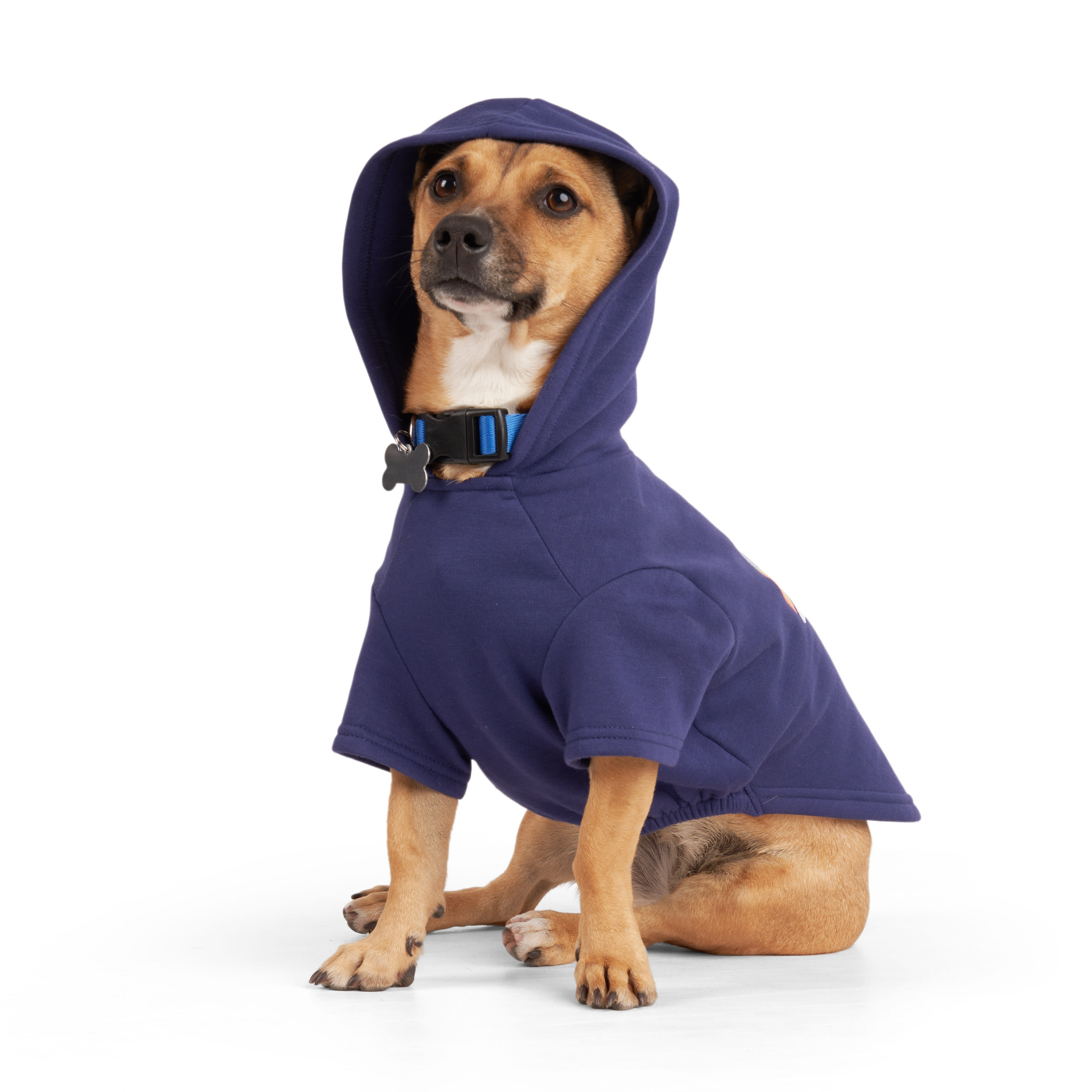 YOULY Be You Dog Hoodie， XX-Small