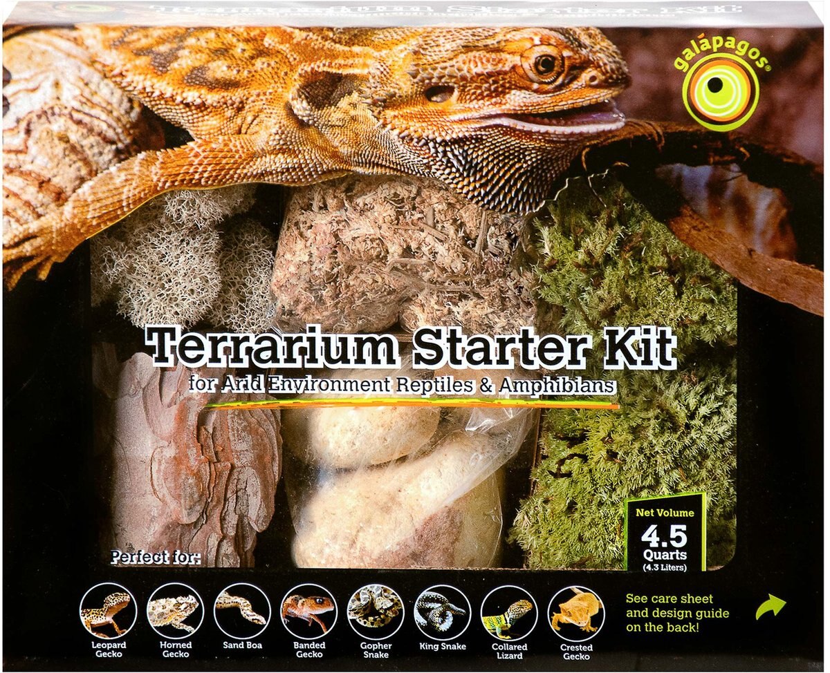 Galapagos Terrarium Starter Kit