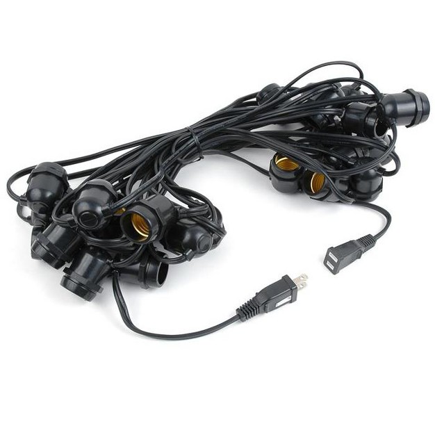 Novelty Lights Edison Outdoor String Lights With 25 In line Sockets Black Wire 37 5 Feet