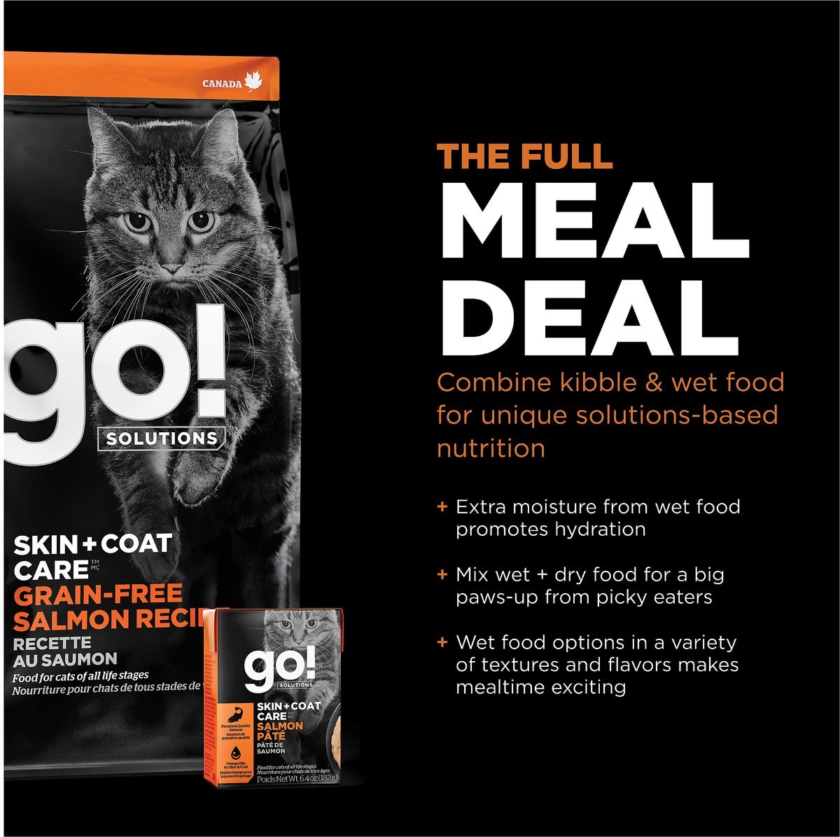 Go! Solutions Skin + Coat Care Grain-Free Salmon Recipe Dry Cat Food