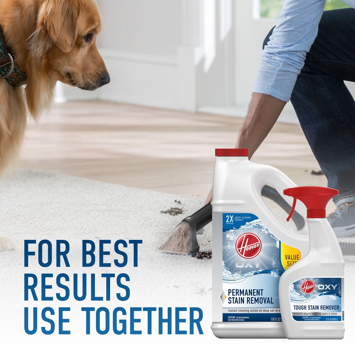 Hoover Oxy Stain Dog and Cat Stain Remover