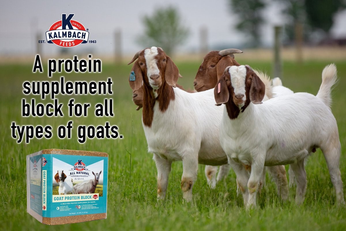 Kalmbach Feeds All Natural Protein Goat Supplement， 25-lb block