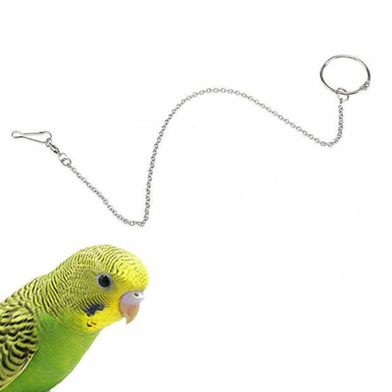 Parrot Leg Ring Ankle Foot Chain Bird Outdoor Flying Training Activity Stand