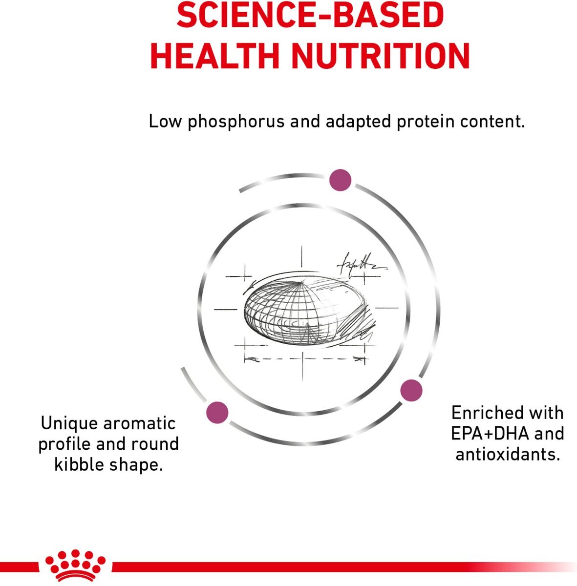 Royal Canin Veterinary Diet Adult Renal Support F Dry Dog Food