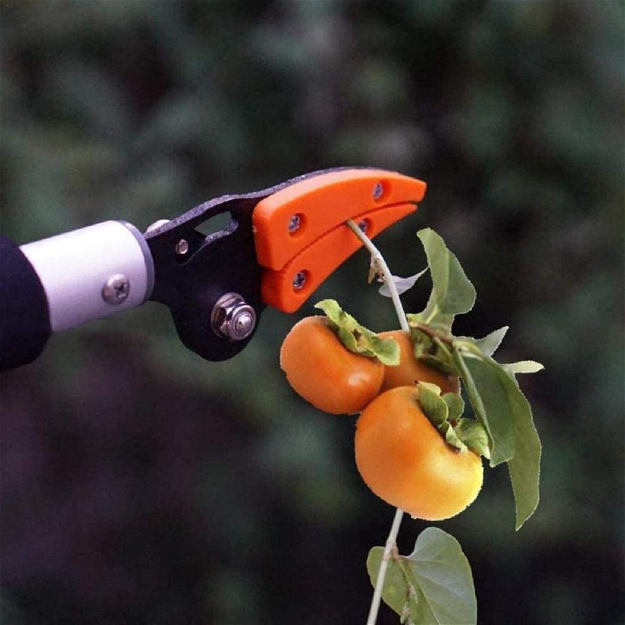 Seyurigaoka Long Handle Telescopic Fruit Picker, Practical Tree Reach Pruner