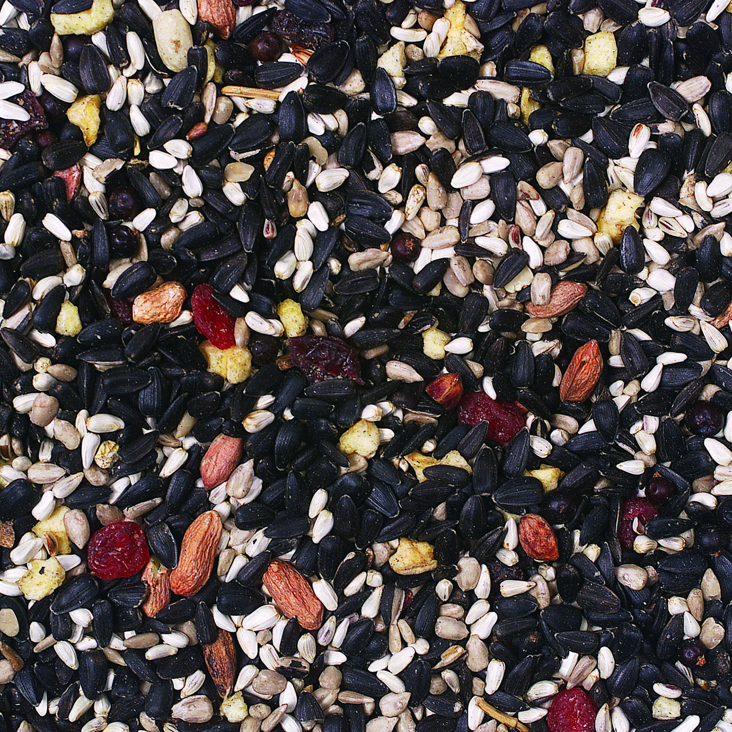 Wild Delight Fruit N Berry Assorted Species Sunflower Seeds Wild Bird Food 5 lb