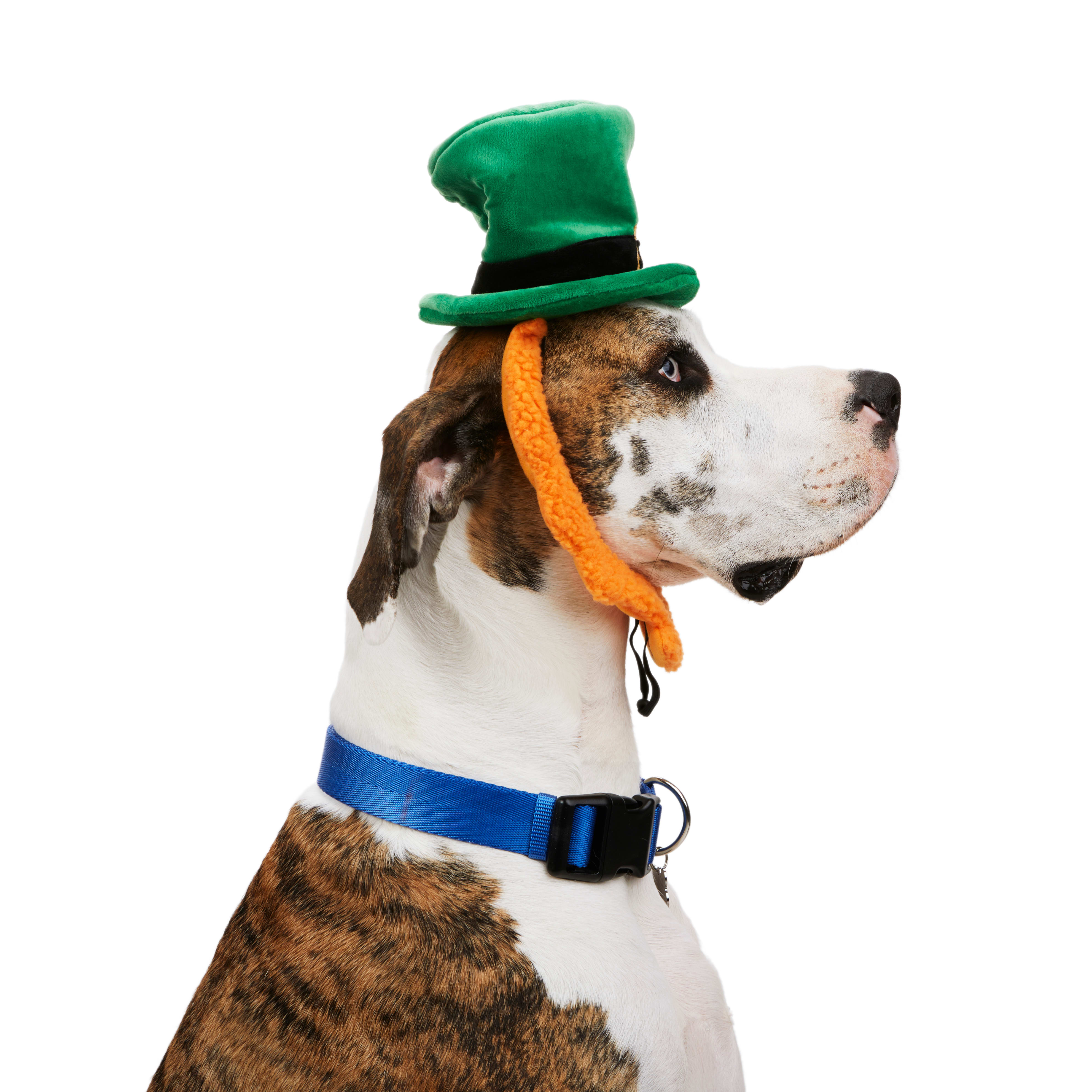 YOULY St. Pats Leprechaun Dog Headpiece， Small/Medium