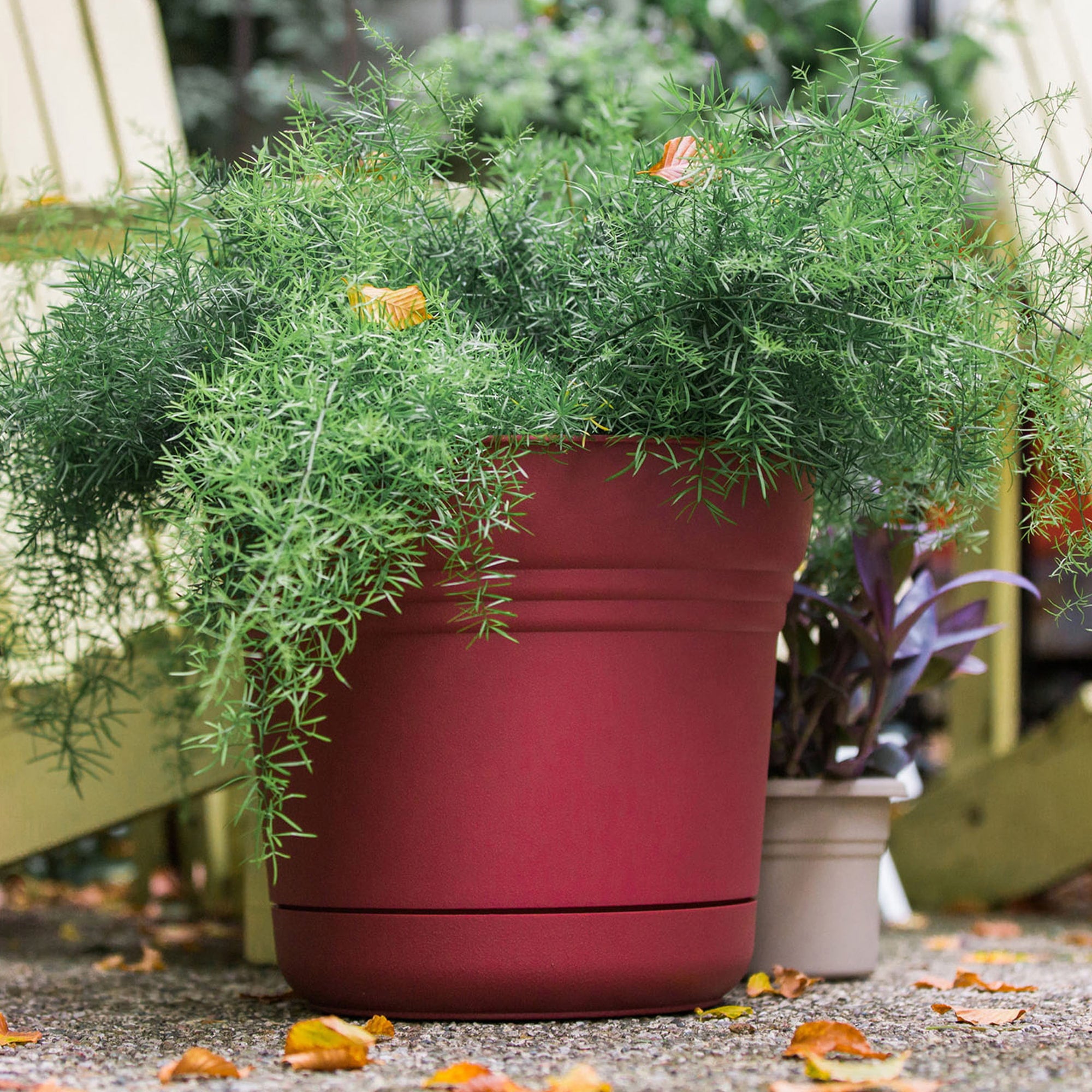 Bloem Saturn Round Planter With Saucer Tray: 12" - Burnt Red - Durable Plastic Pot, Matte Finish, Removable Saucer, For Indoor & Outdoor Use, Gardening, 3 Gallon Capacity