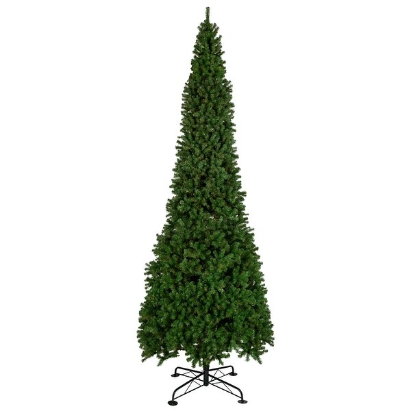 16' Pendleton Spruce Slim Artificial Christmas Tree Unlit