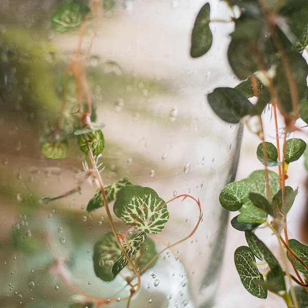 RusticReach Begonia Leaf Hanging Vine 27 Long