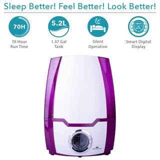 Air Innovations 1.37 Gal. Cool Mist Digital Humidifier for Large Rooms Up To 400 sq. ft HUMID06-PURPLE