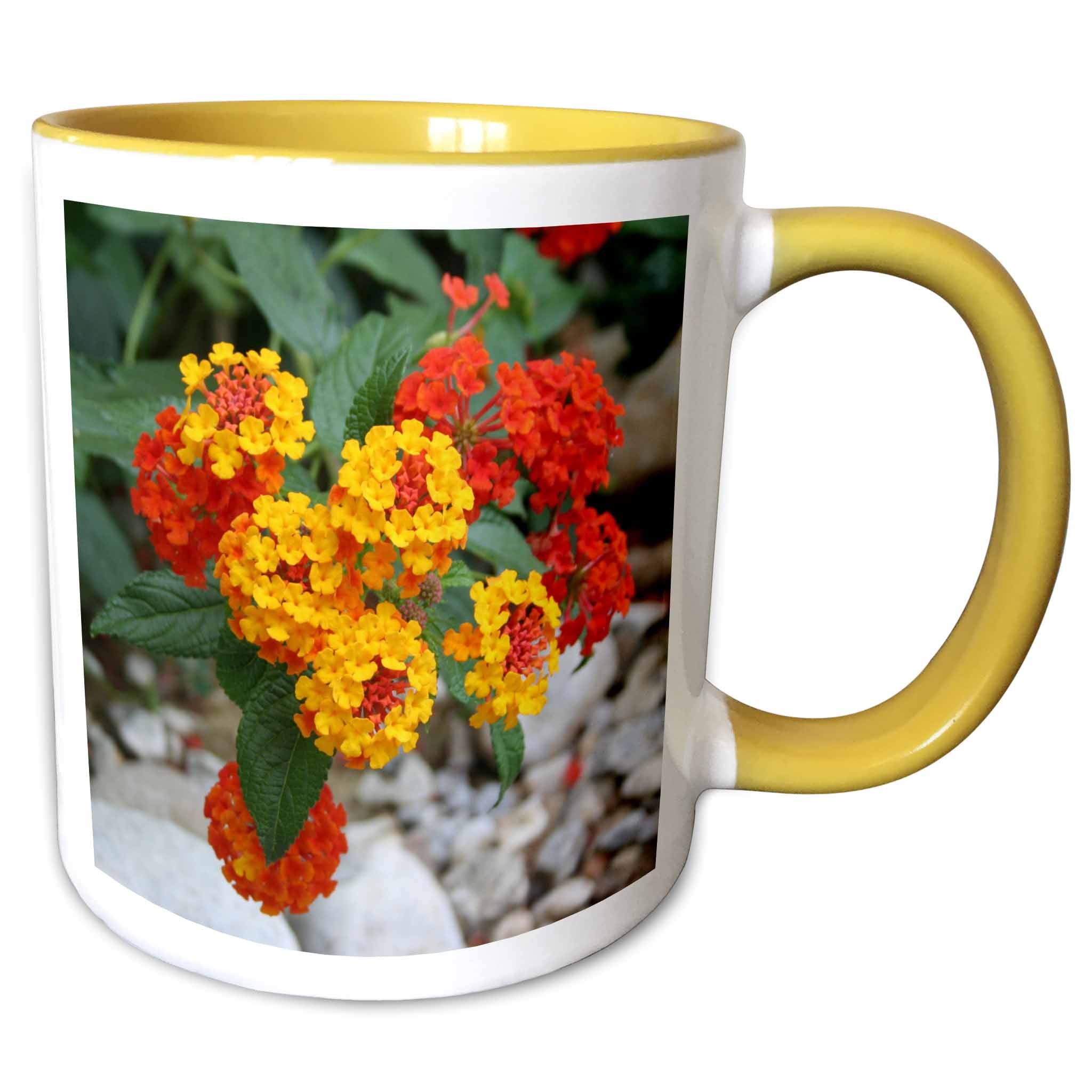 3dRose Red and Gold Lantana -flower， flowers， lantana， plant， plants， shrub verbena， verbena - Two Tone Yellow Mug， 11-ounce