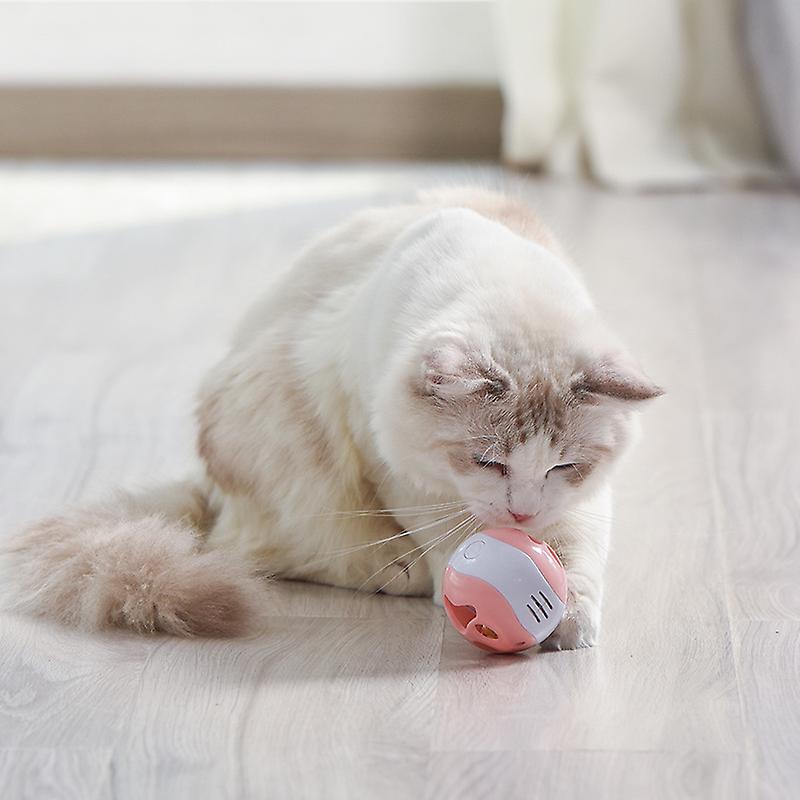 Hollow Ball Inside Bell Cat Toy