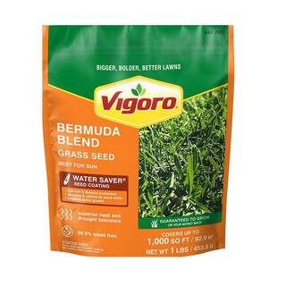 Vigoro 1 lb. Bermuda Grass Seed Blend with Water Saver Seed Coating 52334