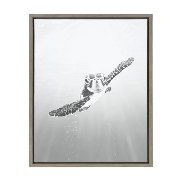 X 24 quot Sylvie Sea Turtle Framed Canvas By Simon Te Of Tai Prints Gray Kate amp Laurel All Things Decor