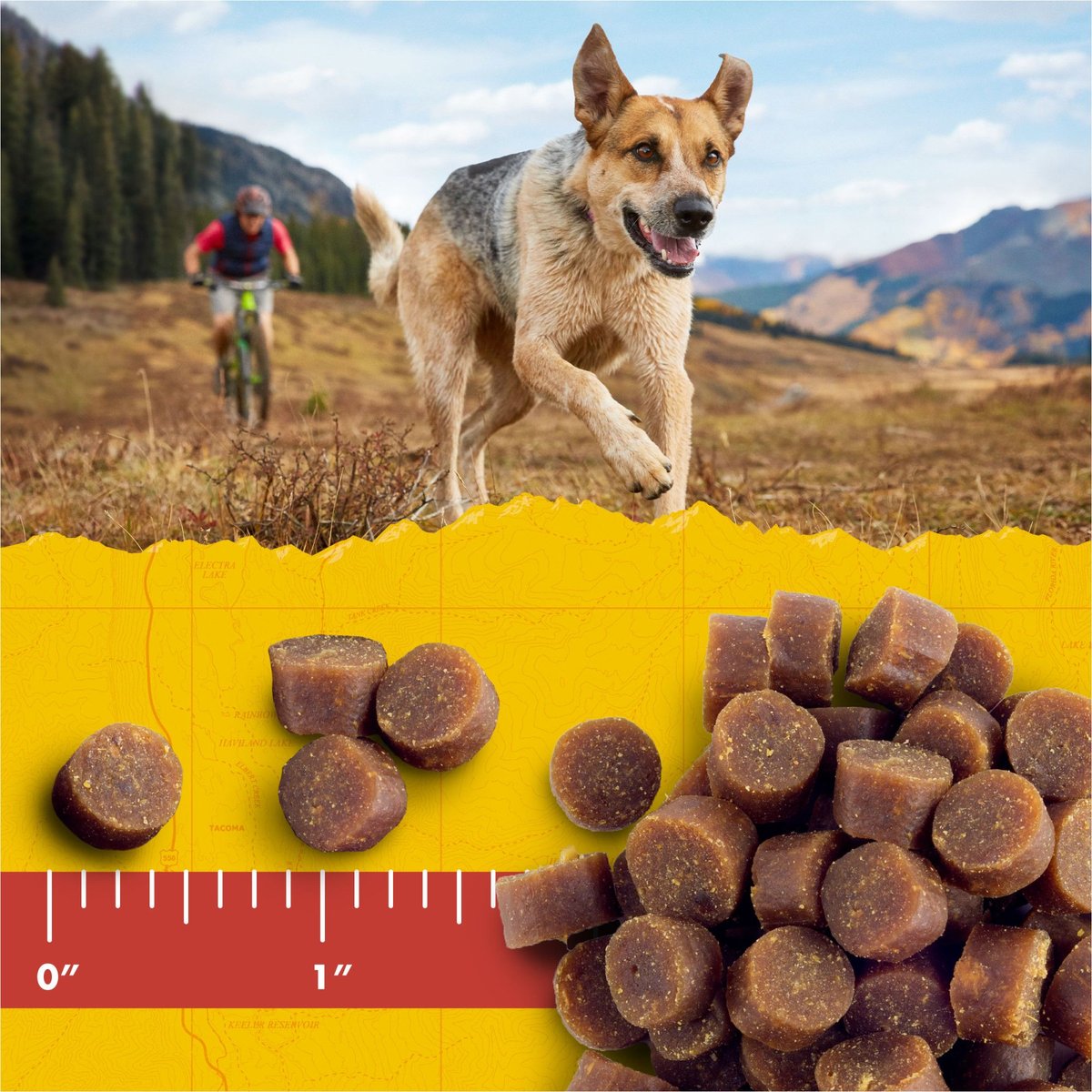 Zuke's Mini Naturals Beef Recipe Dog Treats