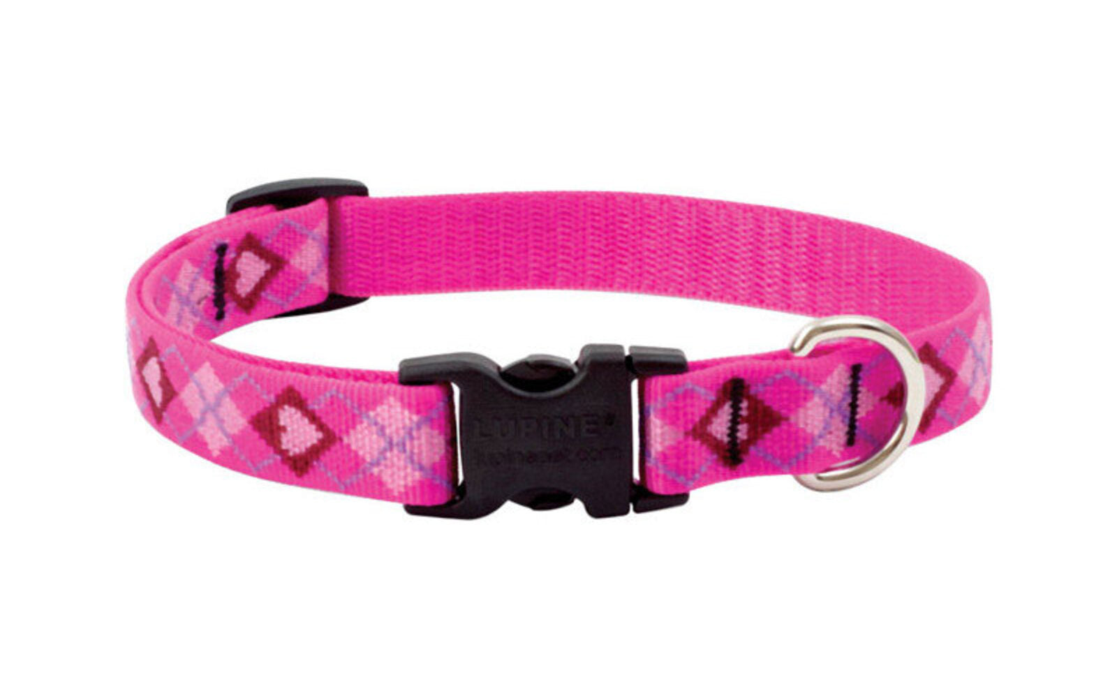 DOG COLLAR13-22ADJ PYLV