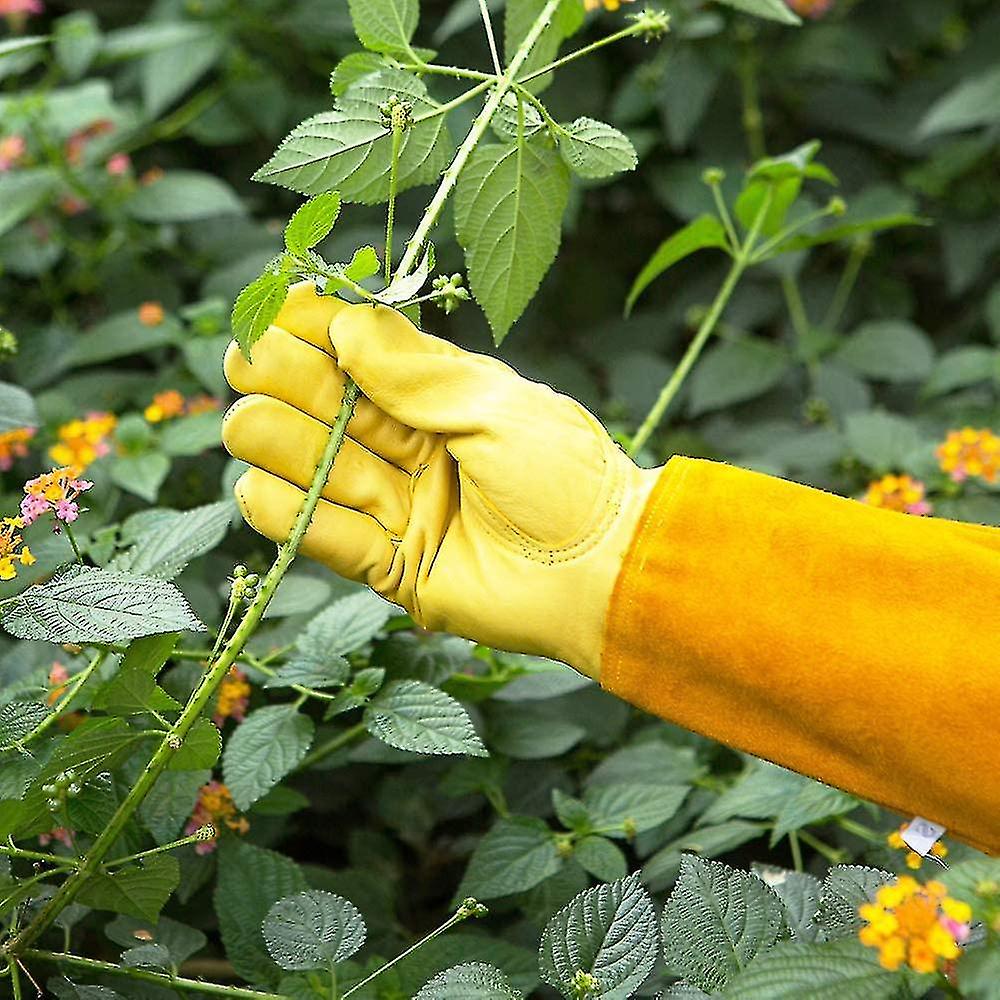 Long Leather Gardening Gloves For Women And Men， Thorn-proof Gloves，