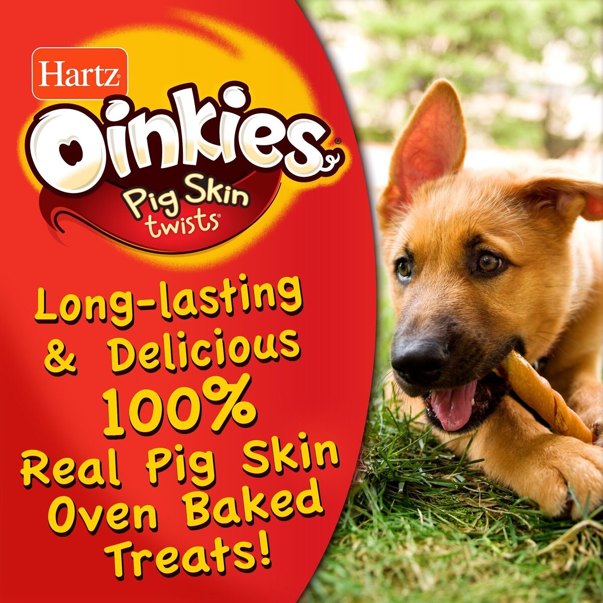 Hartz Oinkies Porkalicious Sizzling Bacon Natural Chew Dog Treats