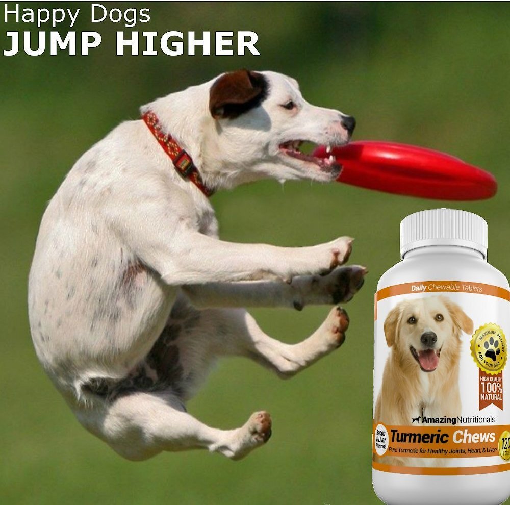 Amazing Nutritionals Turmeric Chews Daily Dog Supplement