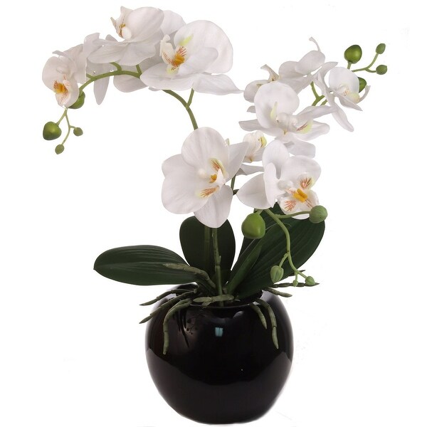 Set of 2 Silk Orchid Arrangement in Vase.18x14 Inch