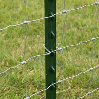 Everbilt 1-34 in. x 3-12 in. x 6 ft. Green Steel Fence T-Post with Anchor Plate 901176EB