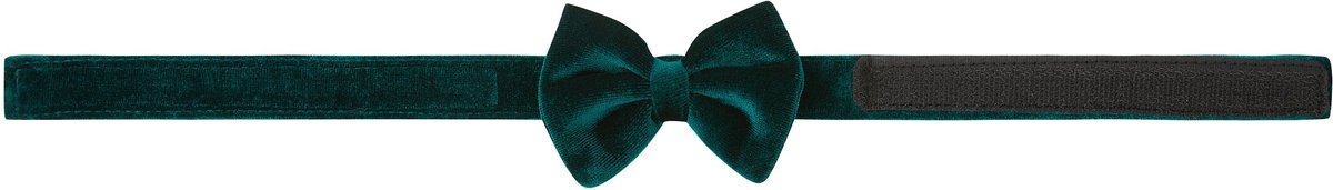 Frisco Green Velvet Dog and Cat Bow Tie