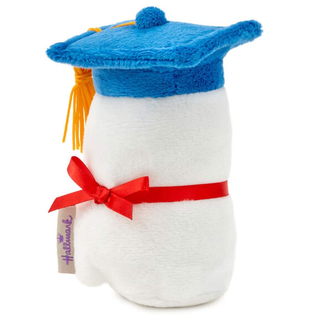 Hallmark  itty bittys® Diploma Plush With Sound