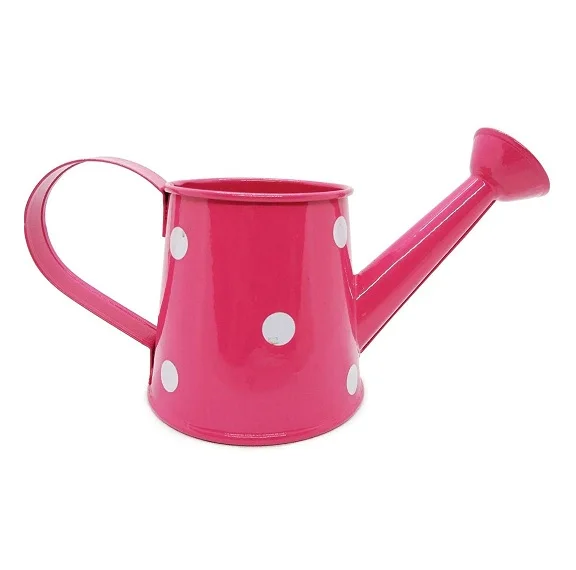 Modern Design Water Can Best Quality Iron Metal New Design Custom Shape Watering Can For Home Garden Daily Usage