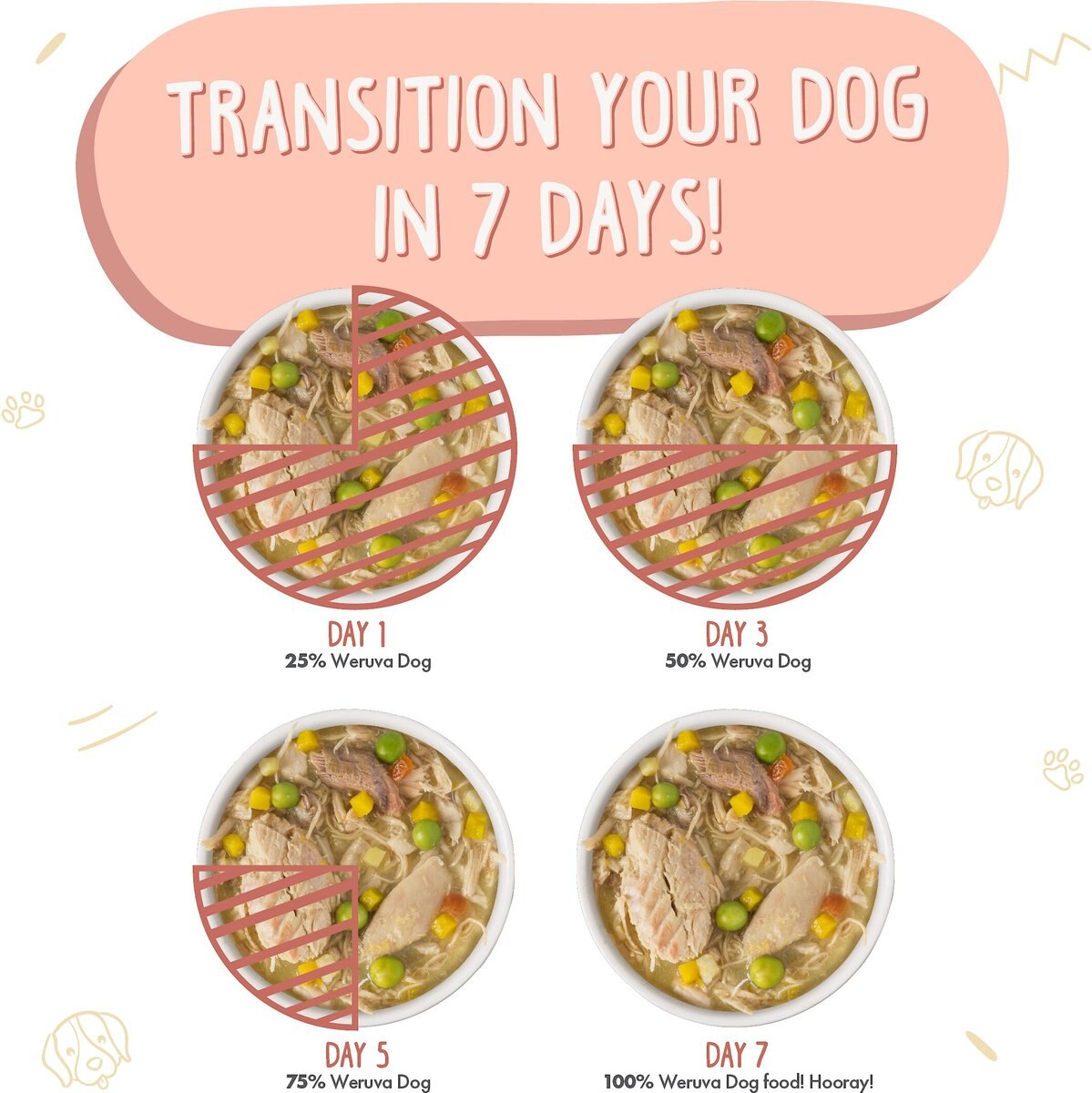 Weruva Jammin' Salmon with Chicken and Salmon in Pumpkin Soup Grain-Free Canned Dog Food