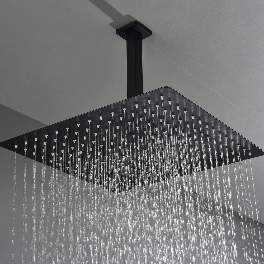 WELLFOR 1-Spray Patterns with 2.5 GPM 16 in. Ceiling Mount Rain Fixed Shower Head in Matte Black WA-F16-MB