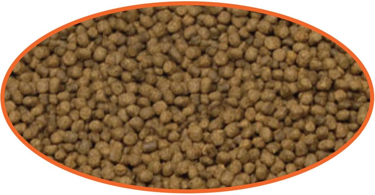 Cobalt Aquatics Select Goldfish Pellet Fish Food