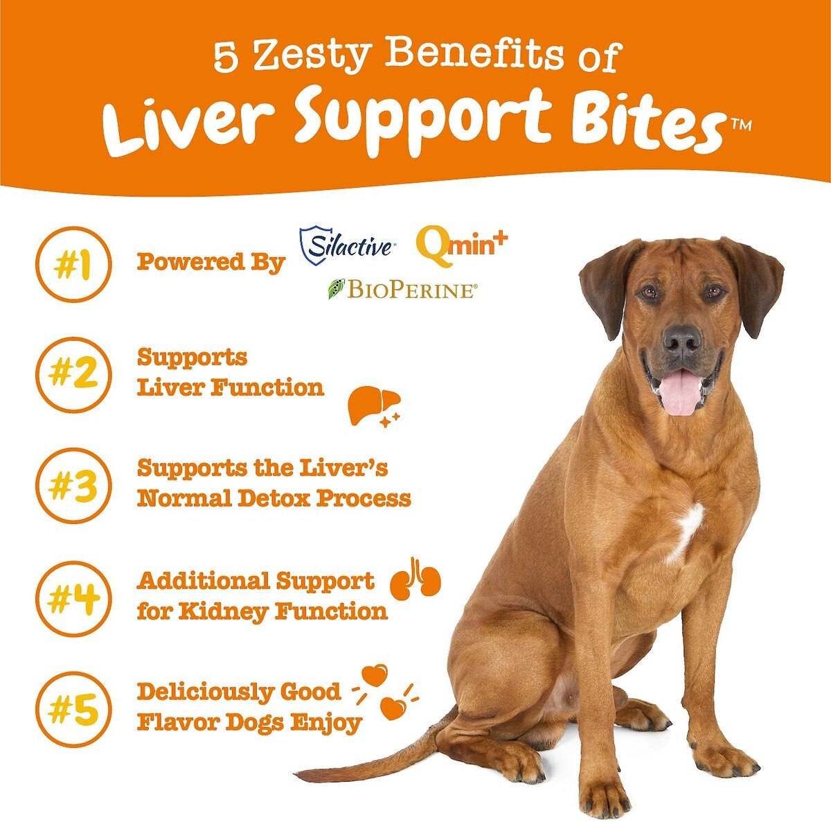 Zesty Paws Liver Support Bites Chicken Flavored Soft Chews Liver Supplement for Dogs