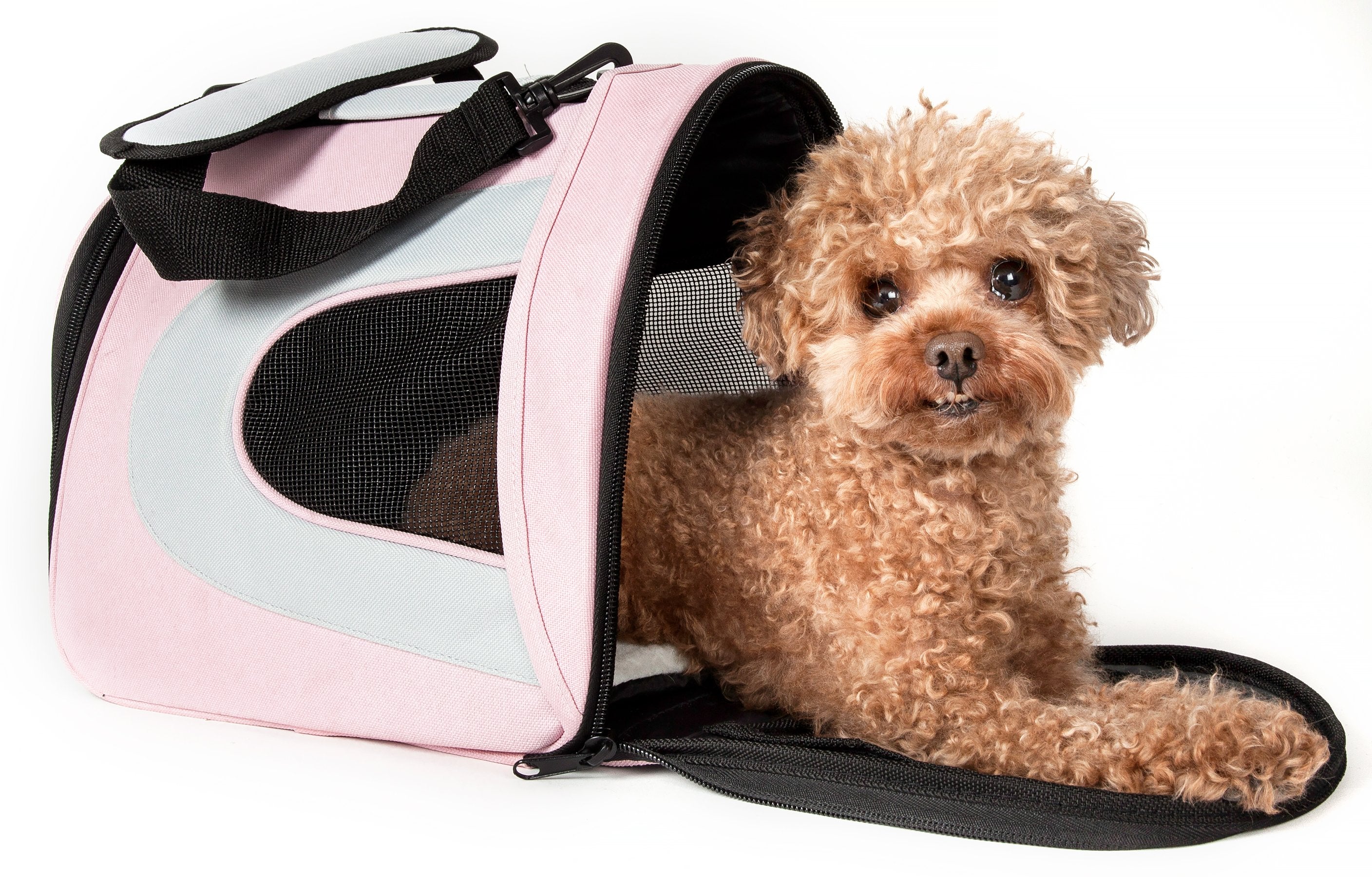 Pet Life Airline Approved Folding Sporty Mesh Carrier