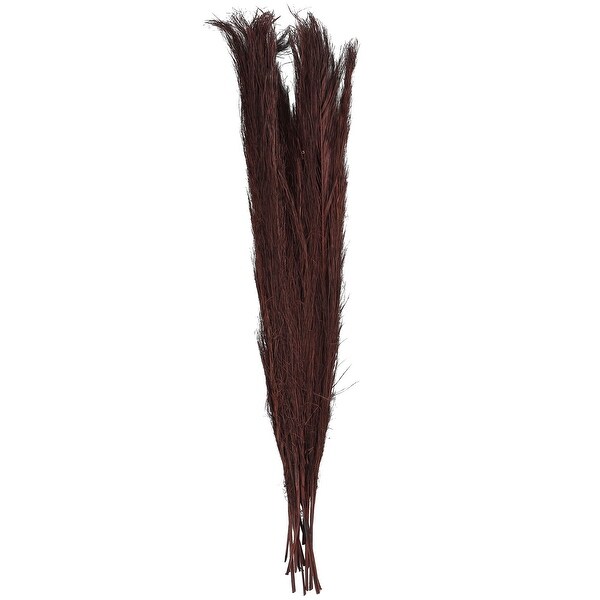 Brown Dried Plant Tall Pampas Grass Natural Foliage