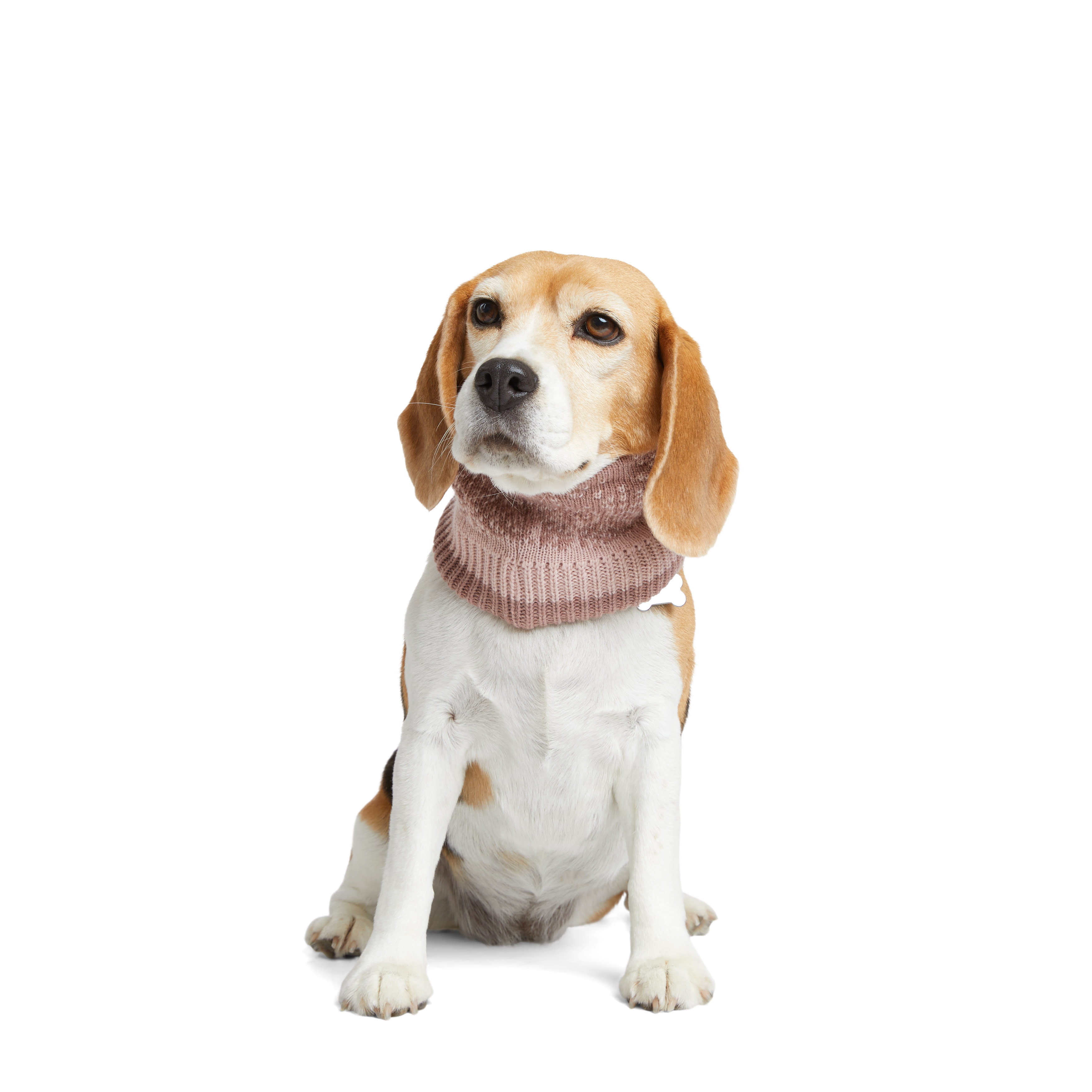 Reddy Pink Scarf for Dogs， X-Small/Small