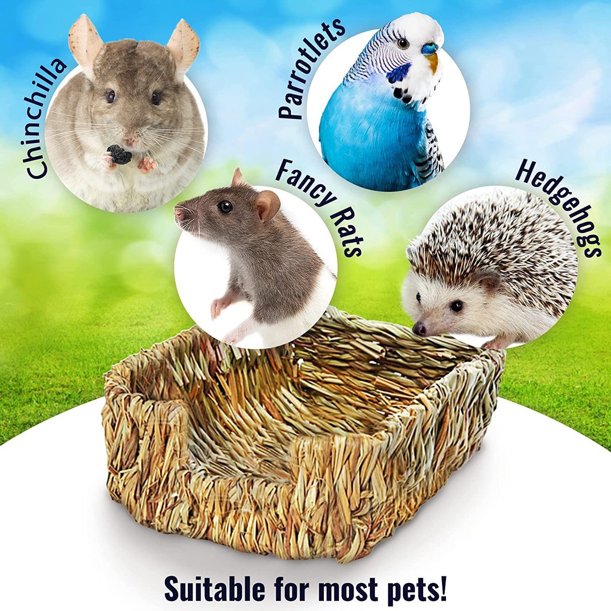 SunGrow Small-Pet Guinea Pig and Chinchilla Natural Chew Comfy Sleeping Basket Grass Bed