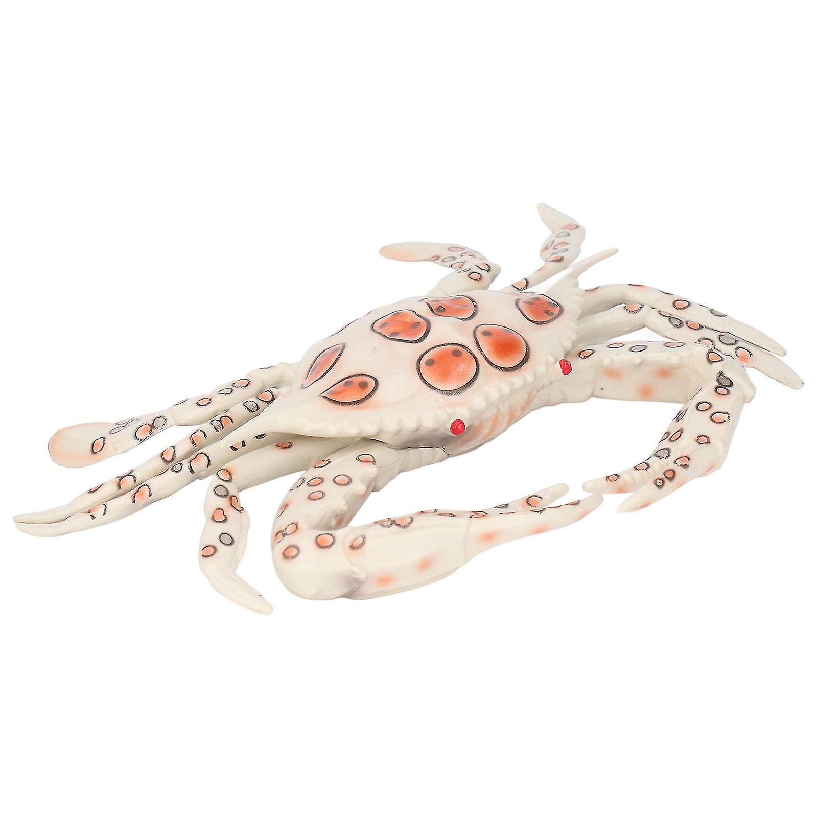 Crab Toy Educational Interesting Plastic Safe Vivid Shape Marine Biological Cognition Teaching Ornaments for Kids