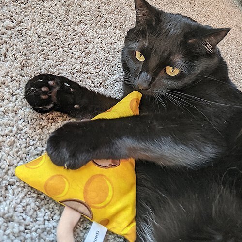 Meowijuana Get Cheesy Mouse and Cheese Refillable Plush Cat Toy with Catnip