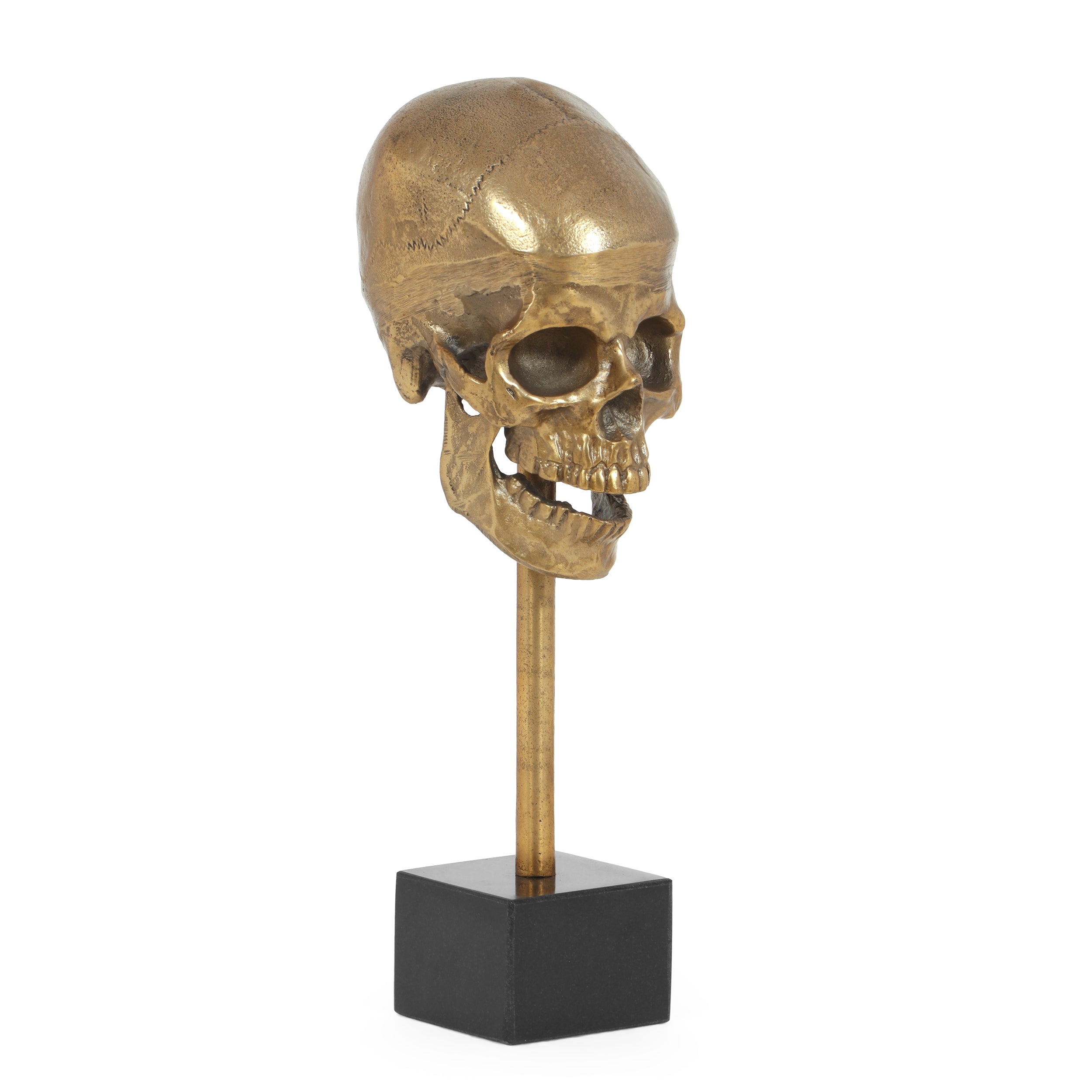 Niver Handcrafted Aluminum Skull Decor with Stand, Raw Brass and Black