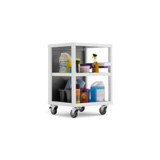 NewAge Products Pro Series 24 in. W x 34.25 in. H x 20.5 in. D 18-Gauge Steel Utility Cart in Platinum 51330