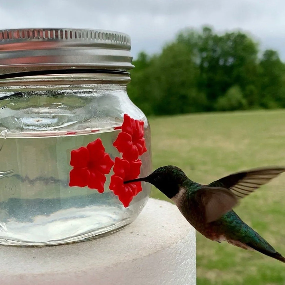 🔥 BIG SALE - 49% OFF🔥🔥- Beautiful Mason Jar Hummingbird Feeder W/ Three Ports