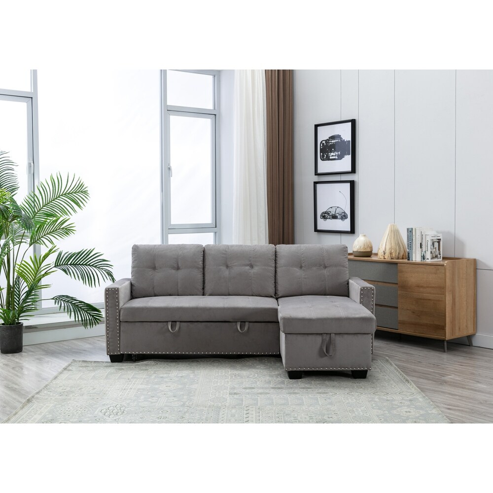 Reversible Sleeper Sofa With big Storage chaise