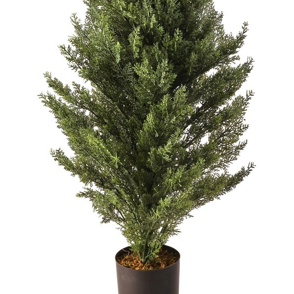 48 Uv Potted Arborvitae Tree