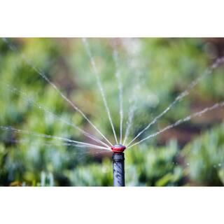 Rain Bird 17 ft. to 24 ft. Full Circle Pattern Rotary Sprinkler 22SAFPRO