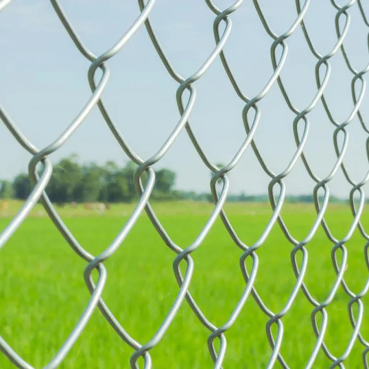 1.5mm 50x50mm 6ft high cheap chain link wire fencing