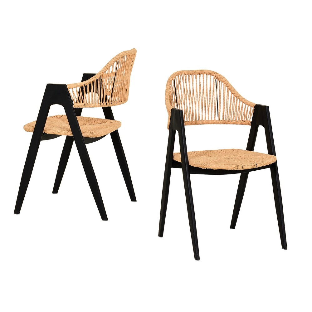 Modrest Gayle Modern Rattan Dining Chair (Set of 2)