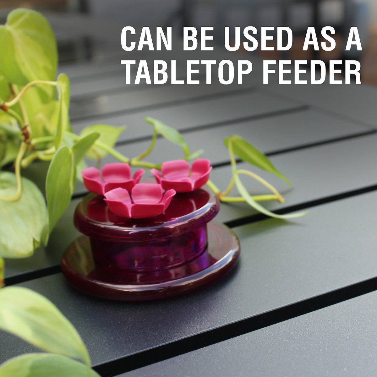 Perky-Pet Handheld and Tabletop Hummingbird Feeder